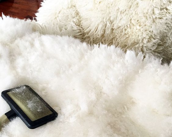 Sheepskin Care: Tips for Cleaning and Maintenance