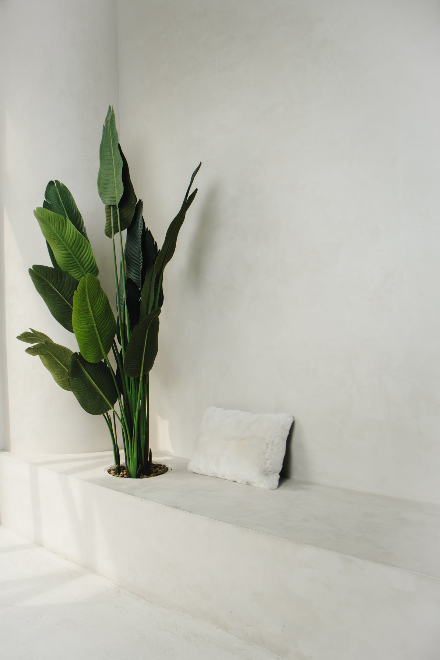 Merino Sheepskin Pillow – Natural Softness & Modern Elegance