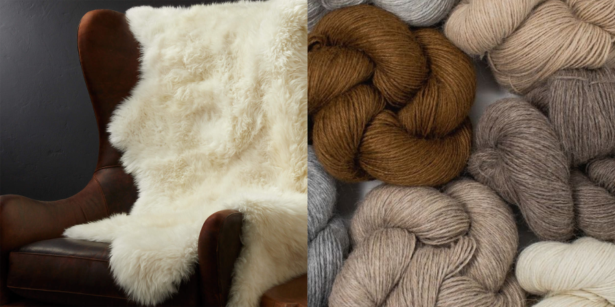 What is the difference between sheepskin and wool?