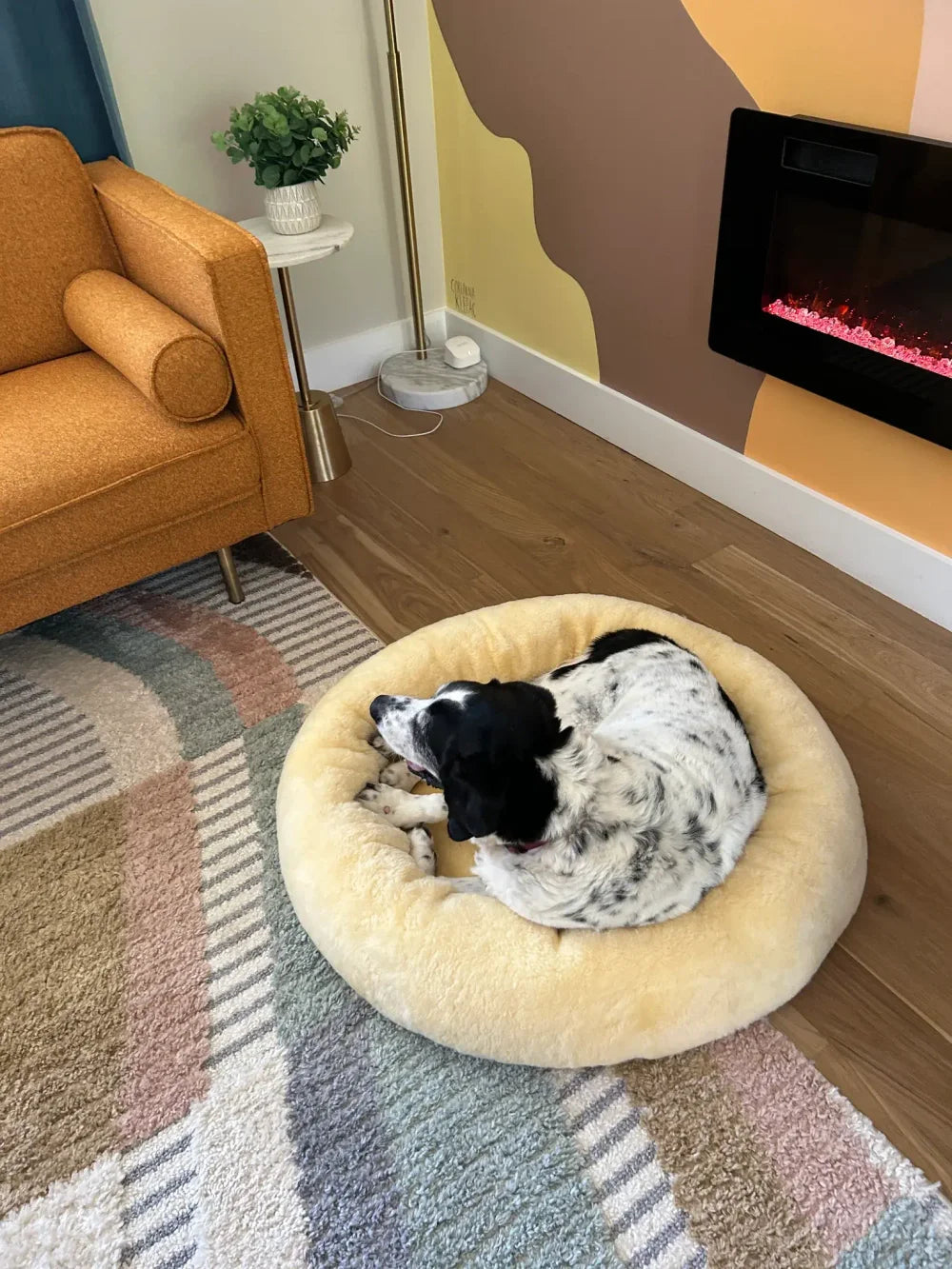 Sheepskin Heating Pet Bed