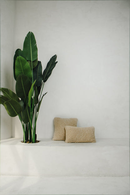 Teddy Natural Sheepskin Pillow