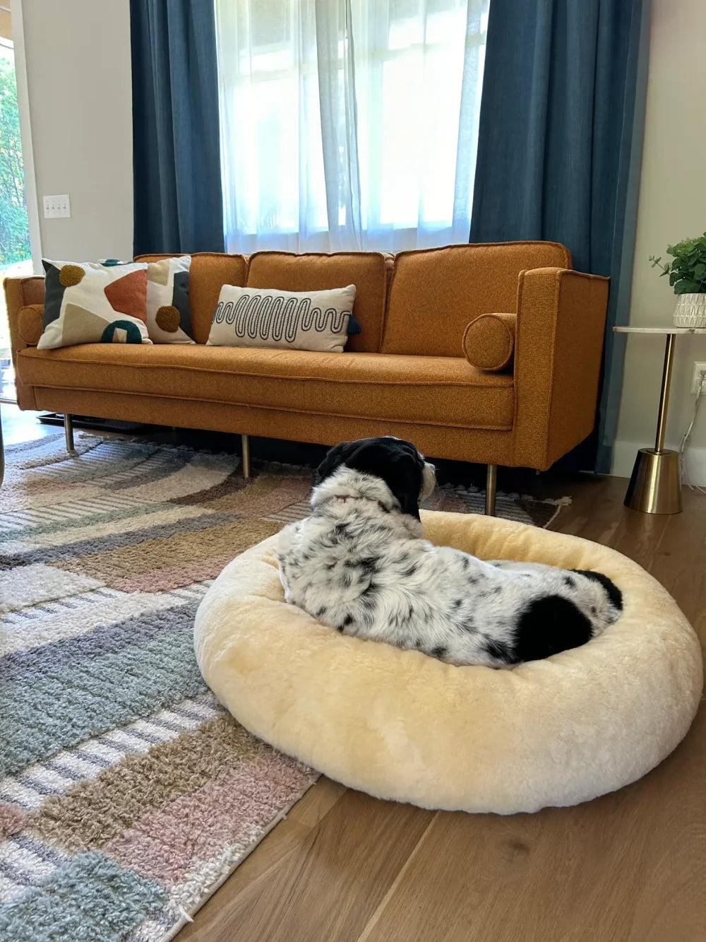 Sheepskin Heating Pet Bed