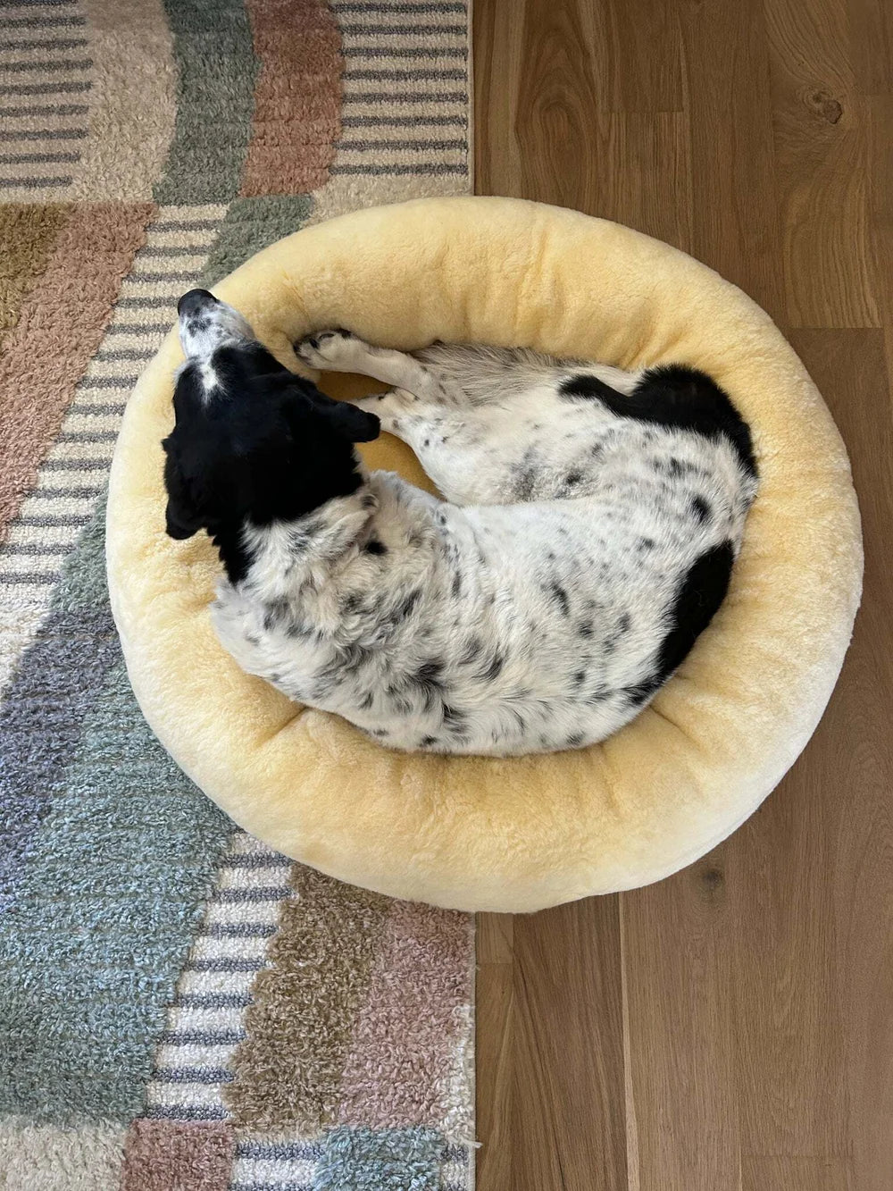 Sheepskin Heating Pet Bed