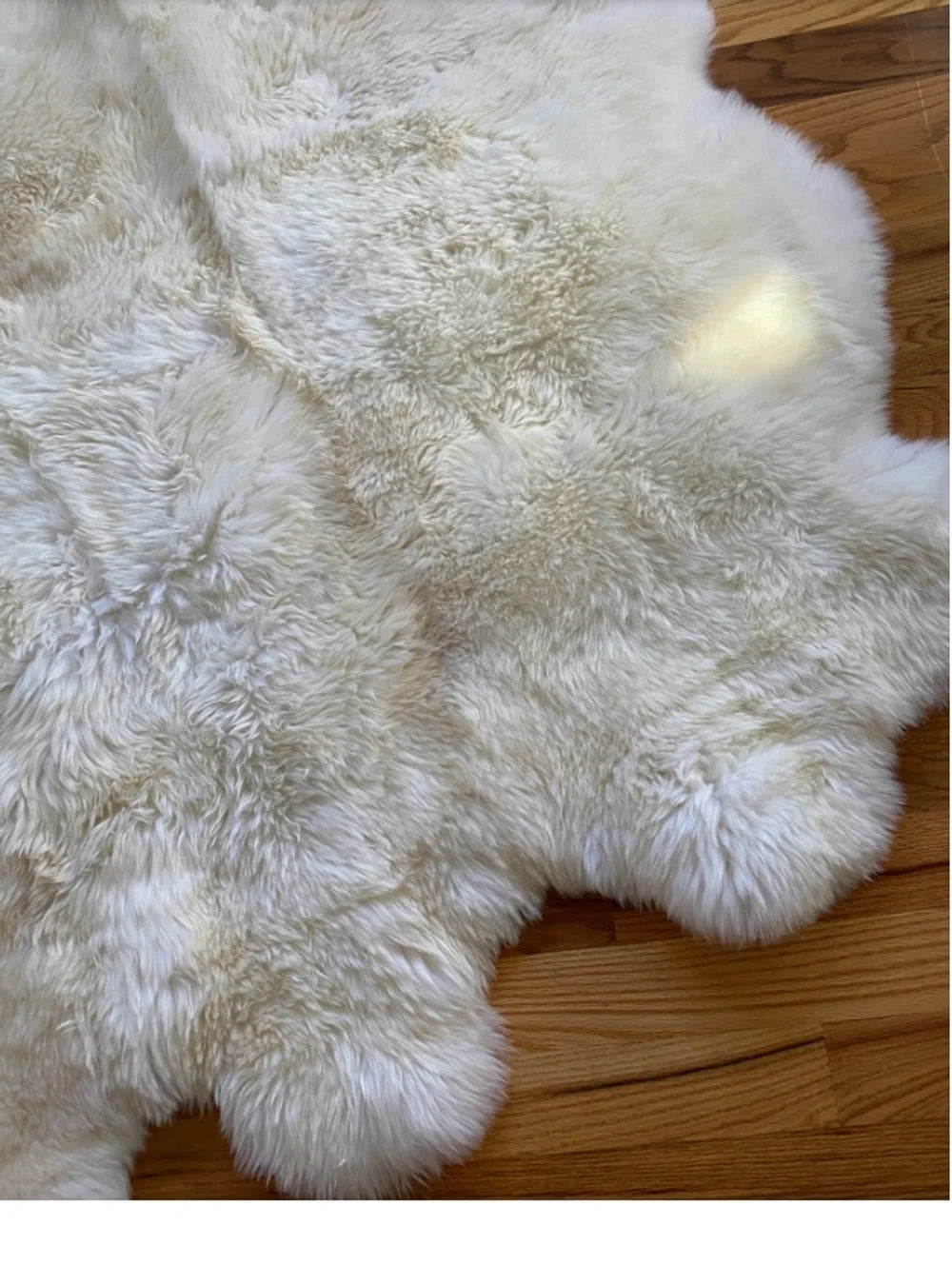 White rug made of six sheepskin hides with long pile, Shaggy Chair Throw, Home Area Rug , Natural Soft Sheepskin Floor Covering , Cozy and Soft